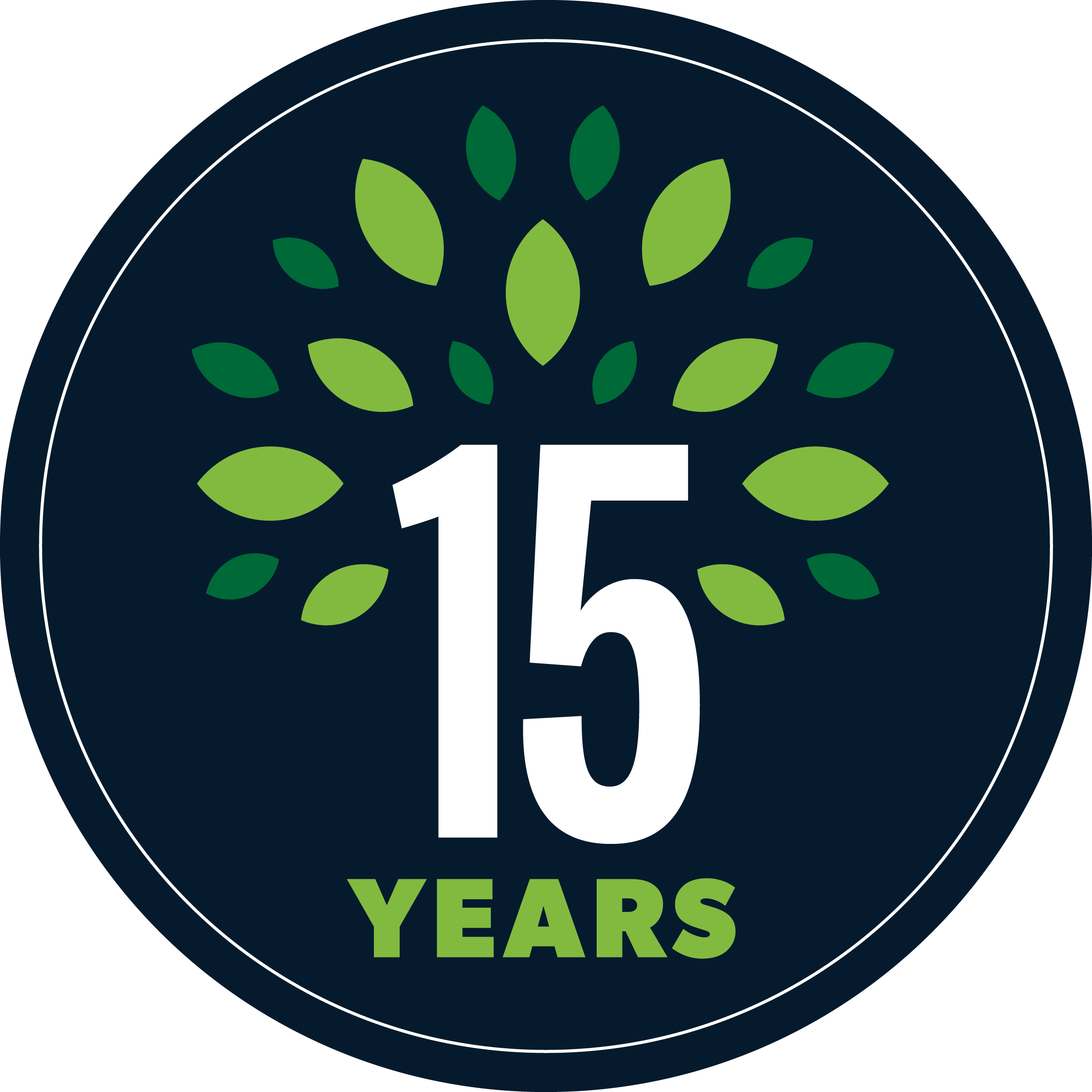 15 Years Badge